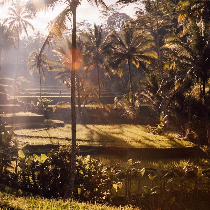 Outdoor terrace seating suitable for families in Zürich