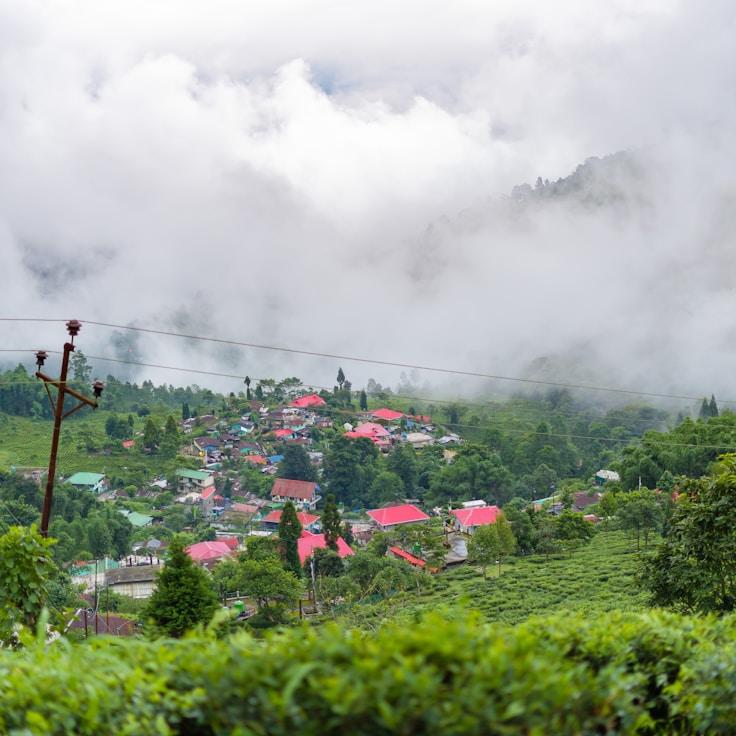 Family terraces and cafés for calm evenings in Zürich